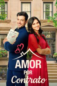Amor por Contrato